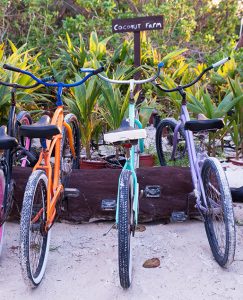 A group of bicycles parked on the sand during vacations on Andros.