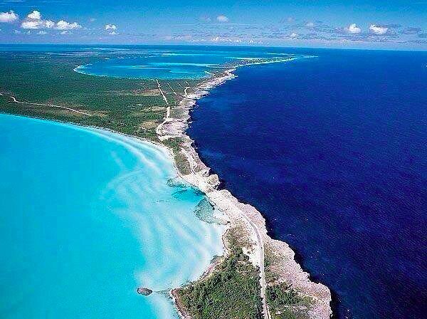 An aerial view of a blue ocean and a cliff, offering the perfect backdrop for Bahamas day tours.