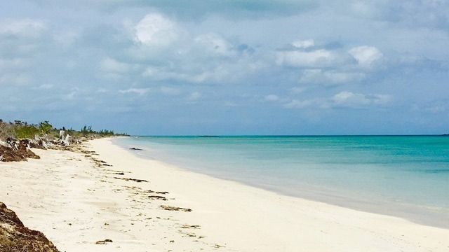 Enjoy the allure of a white sandy beach embraced by clear blue water during our Bahamas Day tours.