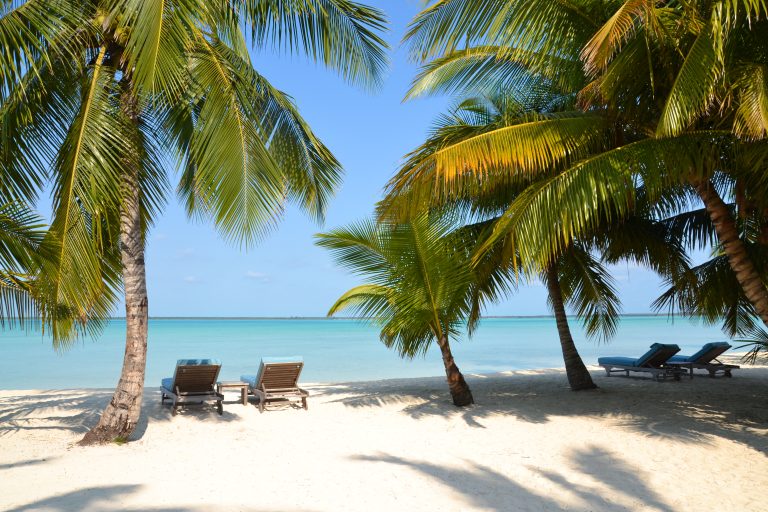 Explore breathtaking sandy beaches lined with graceful palm trees on your Bahamas vacation. Indulge in the tropical paradise of the Bahamas Island while enjoying incredible day tours to this exotic destination.