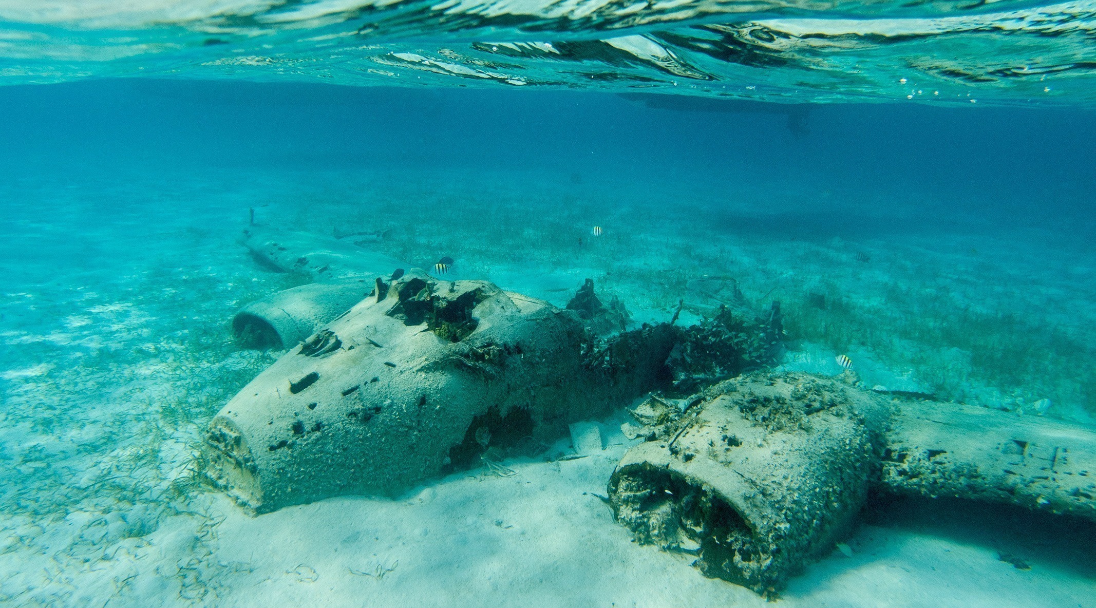 The remains of a plane are floating in the water during Bahamas Travel.