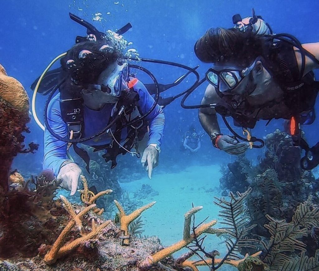 Two people in scuba gear exploring vibrant corals during a Bahamas Travel adventure.