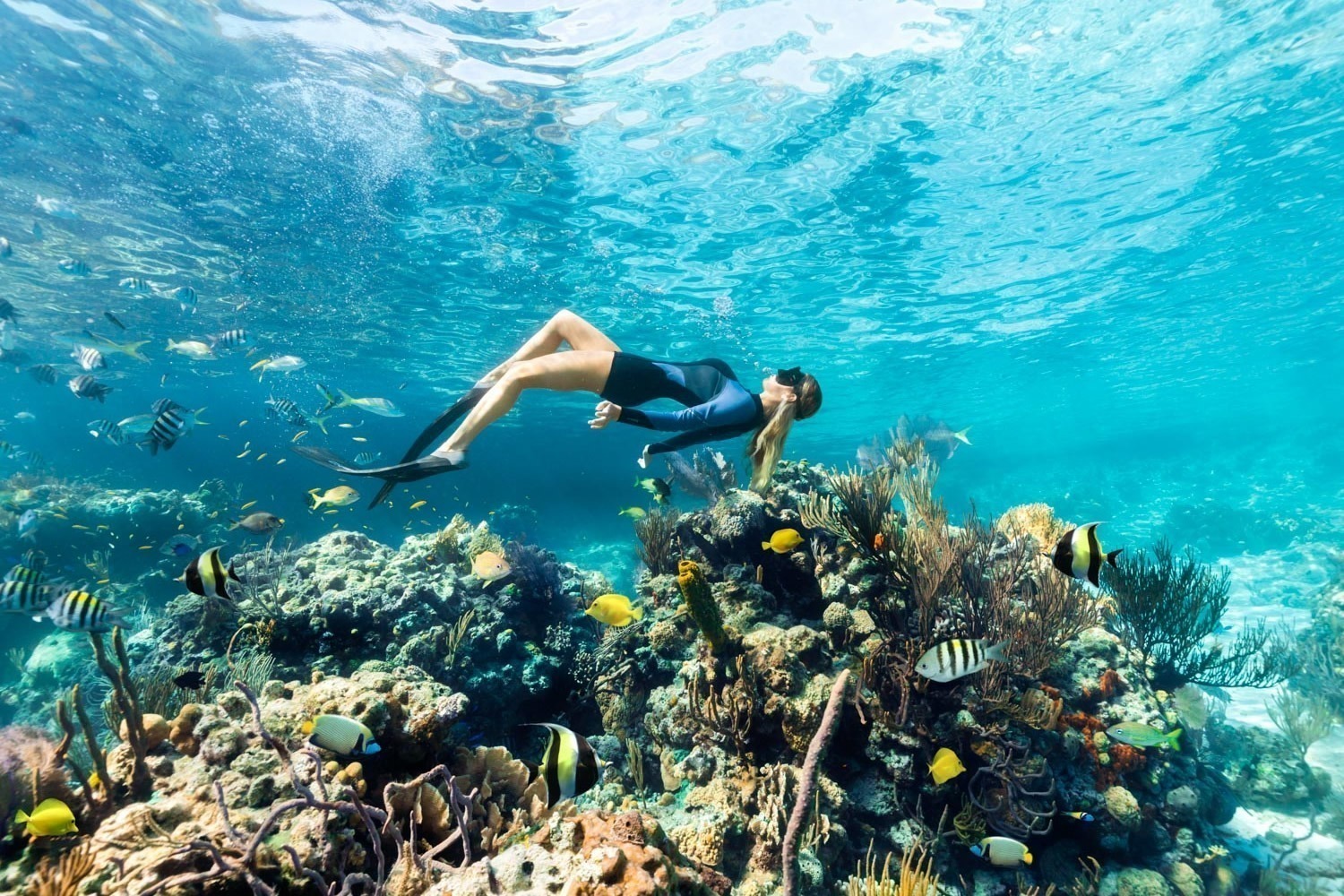  Snorkeling at Andros Barrier Reef: A Bahamas Day Trip