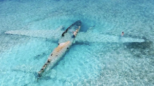 Normans Cay Sunken Plane of The Exuma Cays