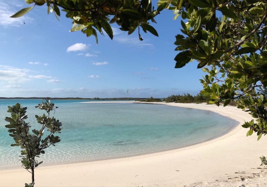 A serene beach scene on a private island in the Exuma Cays features clear, shallow water, clean white sand, and green foliage framing the foreground.