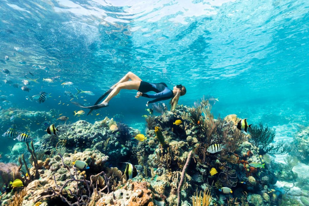 A snorkeler in a wetsuit swims above a vibrant coral reef, surrounded by various colorful fish in clear blue water.