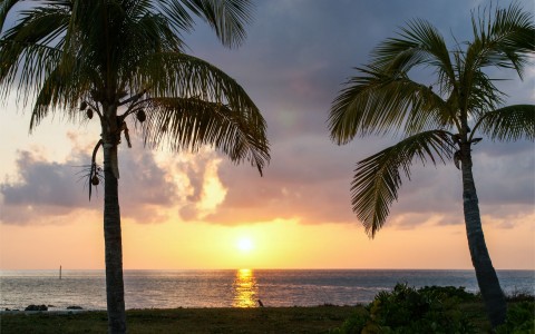 Sun setting over the ocean with two palm trees on either side, casting shadows on the grassy foreground. Clouds are scattered in the sky, creating a serene atmosphere.