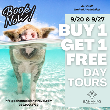 A pig swims in clear blue water with promotional text advertising buy one get one free day tours from Bahamas Island Travel on 9/20 and 9/27.