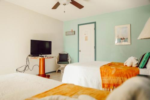 Vacation Rental on Staniel Cay A bright, tidy hotel room with two beds, a wall-mounted TV, a wicker chair and a ceiling fan. The walls are painted white and turquoise.
